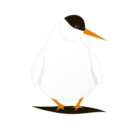 Cartoons bird Arctic Tern stock vector illustration for web, for print. Arctic faunaのイラスト素材