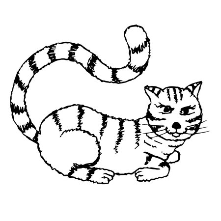 Stylized monochrome striped cat sketch, black and white hand drawn vector illustration for web, for printのイラスト素材