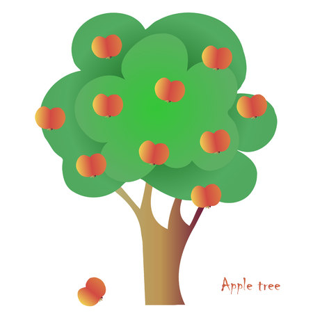 Vector apple tree for emblem, for icon, for decoration hand drawn stock vector illustrationのイラスト素材