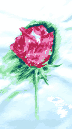 Colored pencil drawing of pink rose flowers, stock vector illustration for web, for print, for designのイラスト素材