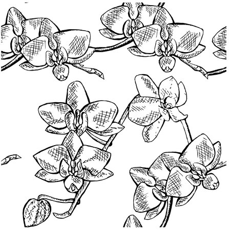 Seamless orchid flowers sketch pattern. Hand drawn monochrome ink stock vector illustration, design element for web, for printのイラスト素材