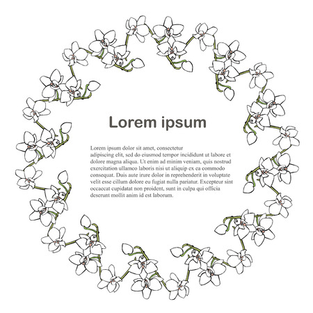 Round white orchid flowers background, Lorem Ipsum. Hand drawn ink stock vector illustration, design element for web, for printのイラスト素材