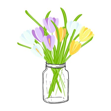 Yellow, blue and violet crocus in jar. Art spring flowers design element stock vector object iolated for web, for printのイラスト素材