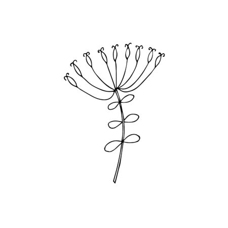 Decorative plant inc hand drawn floral design element stock vector illustration for web, for print, clip artのイラスト素材