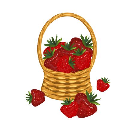 Strawberry in basket wicker with a vine. Red berry art design elements object isolated stock vector illustration for web, for printのイラスト素材