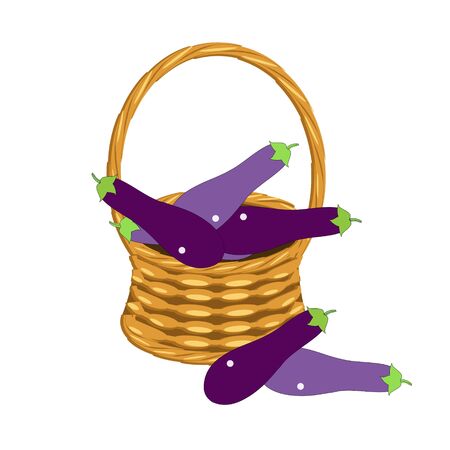 Eggplant in basket wicker with a vine. Fruit art design elements object isolated stock vector illustration for web, for printのイラスト素材