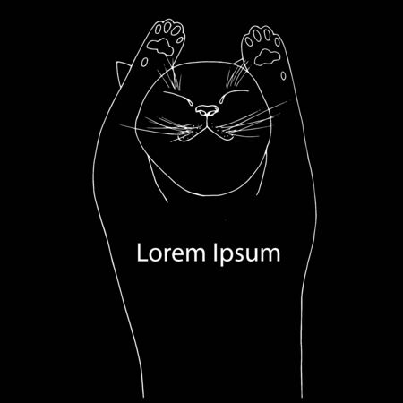 Sleeping cat lie on their back white outline on black, Lorem Ipsum. Relax conception monochrome hand drawn stock vector illustration for web, for printのイラスト素材