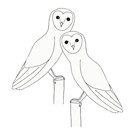 Owls. Hand ink drawing cute bird object isolated art design stock vector illustration for sticker, for web, for printのイラスト素材