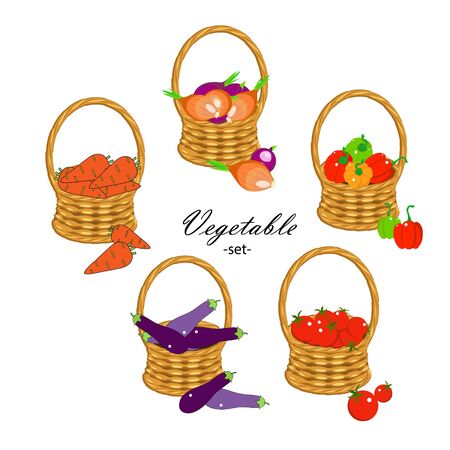 Vegitable set. Carrot, eggplant, papper bell, onion, tomato in wicker basket art design stock vector illustration for product design, for packing design, for web, for printのイラスト素材