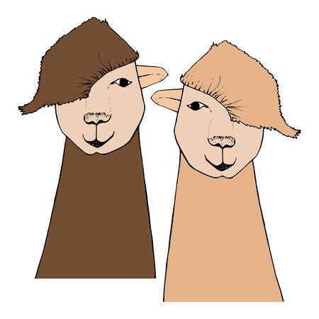 Alpaca twix hand drawn cartoons sketch art design elements stock vector illustration for web, for printのイラスト素材