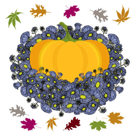 Orange pumpkin, blue aster on white design element stock vector illustration for web, for printのイラスト素材