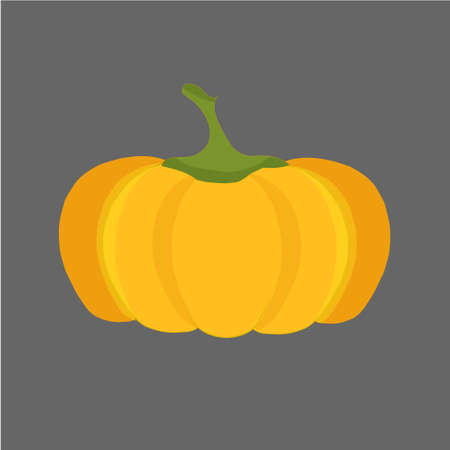 Painting pumpkin on gray. Botanic yellow art design elements stock vector illustration for web for inc, for printのイラスト素材