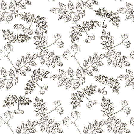 Rose, branch, leaves, fruits, monochrome, seamless, pattern, art, design element, ink, hand drawn, stock, vector, illustration, for web, for print, for herb tea product design, for tea pacing design,のイラスト素材