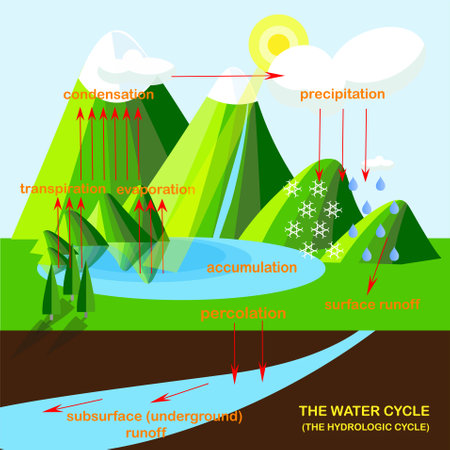 Scheme of the Water cycle, flats design stock vector illustration for education, for web, for printのイラスト素材