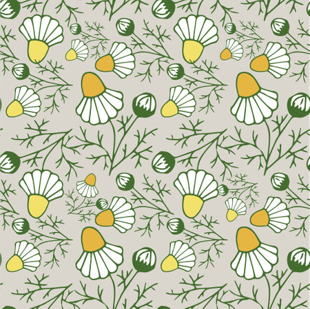 Chamomilla seamless pattern. Yellow white flower on gray botanical art design stock vector illustration for web, for print, for fabric printのイラスト素材