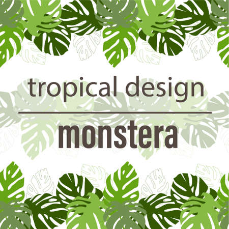 Monstera leaves nature botanical art design element stock vector illustration for web, for printのイラスト素材