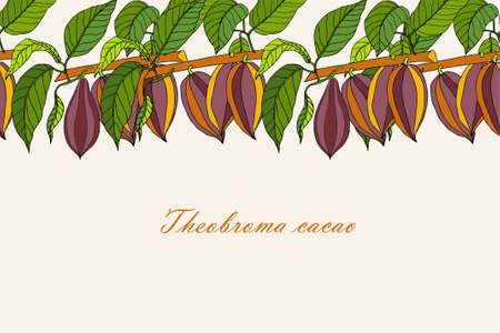 Cacao bean tree branch horizontal seamless background on beige art design stock vector illustration for web, for print, for packing design, for product designのイラスト素材