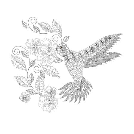 Hummingbird flower doodle monochrome coloring page art design stock vector illustration for web, for printのイラスト素材