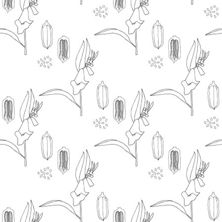 Sesame seamless pattern monochrome art design stock vector illustration for web, for print, for product design, for packing designのイラスト素材