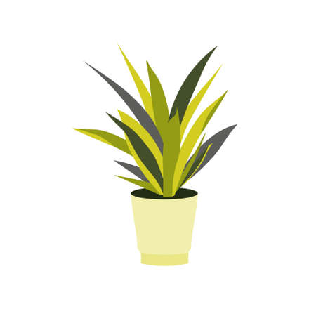 Flower Pot sansevieria in pot icon art design element stock vector illustration for web, for print, for flower shop, for packaging designのイラスト素材
