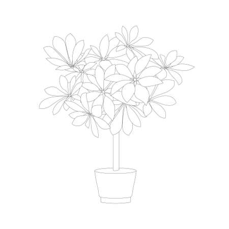 Flower Pot Scheffler in pot monochrome icon art design element stock vector illustration for web, for print, for flower shop, for packaging designのイラスト素材