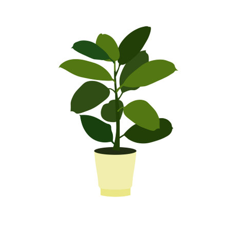 Flower Pot ficus in pot icon art design element stock vector illustration for web, for print, for flower shop, for packaging designのイラスト素材