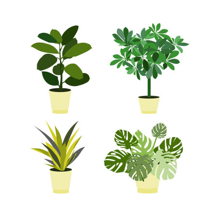 Flower in pot set. Shiflera monstera ficus sansevieria in pot icon art design element stock vector illustration for web, for print, for flower shop, for packaging designのイラスト素材