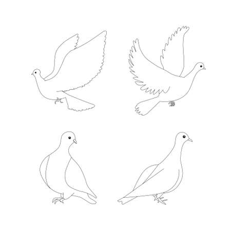 Dove sketch outline monochrome sketches set art design elements stock vector illustration for web, for printのイラスト素材