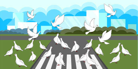 Pedestrian crossing on the road in city bird white doves art design elements flat design blue green gray stock vector illustration for web, for print backgroundのイラスト素材