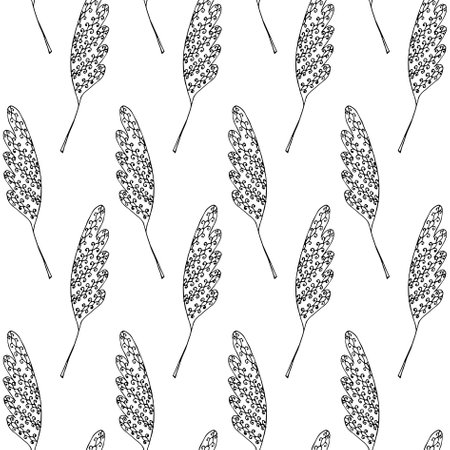 Doodle, abstract, plant, black and white, monochrome, art, design element, stock, vector, illustration, for web, or print, hand drawn, for fabric printのイラスト素材