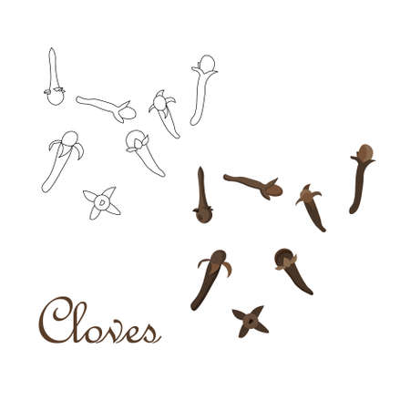 Cloves monochrome and colorful art design stock vector illustration for web, for printのイラスト素材