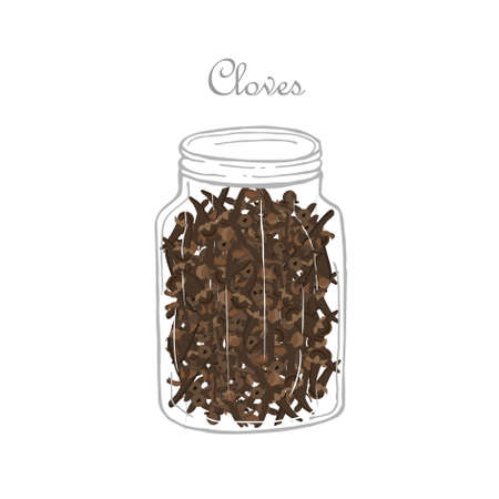 Cloves in jar colorful art design element stock vector illustration for packaging design, for product design, for web, for print, for fabric printのイラスト素材