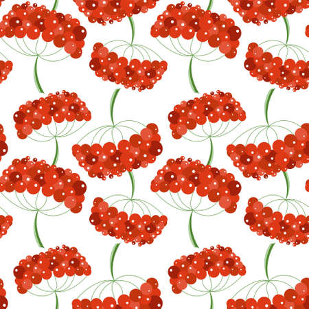 Viburnum colorful seamless pattern red fruit on white art design elements stock vector illustration for web, for printのイラスト素材