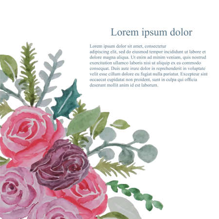 Lorem Ipsum watercolor pink rose banner art design stock vector illustration for web, for printのイラスト素材