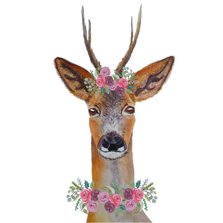 Deer in roses. Watercolor forest cute animal object isolated for web, for print stock illustrationの写真素材