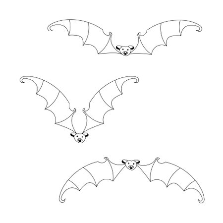 Bats outline monochrome set art design stock vector illustration for web, for printのイラスト素材