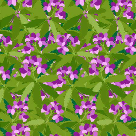 Bittercresses toothworts forest plant violet flowers green leaves seamless pattern stock vector illustration for web, for printのイラスト素材