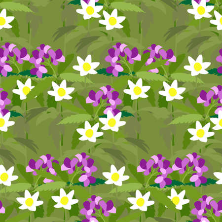 Bittercresses toothworts anemone forest plant violet white flowers green leaves seamless pattern stock vector illustration for web, for printのイラスト素材