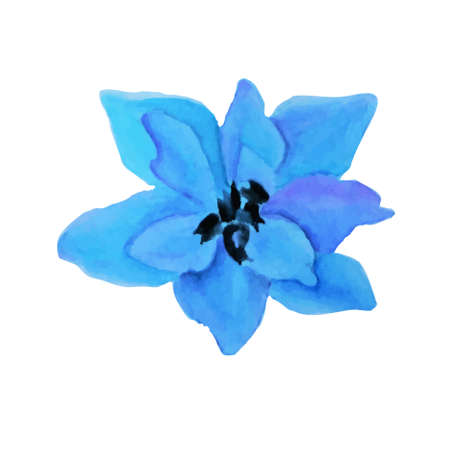 Blue watercolor flower. Delphinium art design stock vector illustration object isolated for web, for prinのイラスト素材