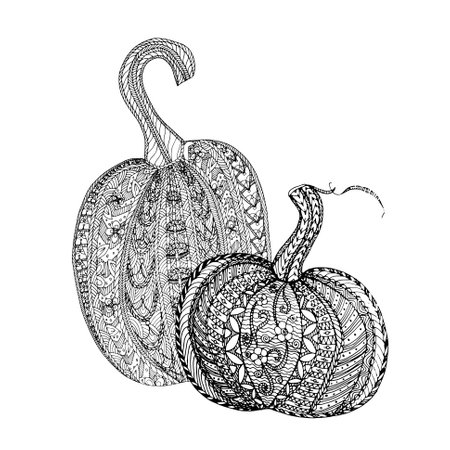 Pumpkin sketch, doodle thin line black ornament on white, coloring page anti stress, vector illustrationのイラスト素材