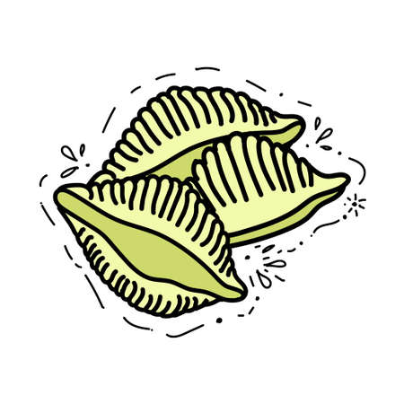 Italian pasta conchiglie shell shaped. Hand drawn sketch style illustration of traditional italian food. Best for menu designs and packaging. Vector drawing isolated on white background.のイラスト素材