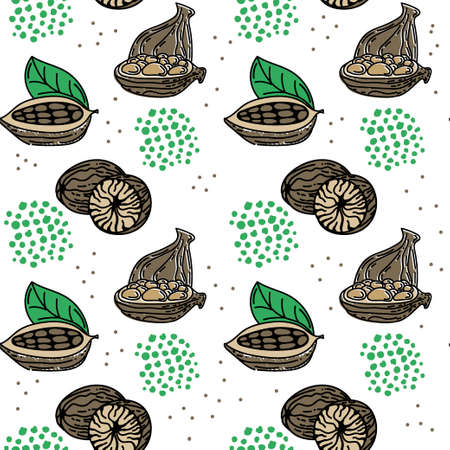 A seamless pattern of spices, condiments for food and drink. Hand drawn, doodle style elements. Cardamom, cacao beans, and nutmeg.のイラスト素材