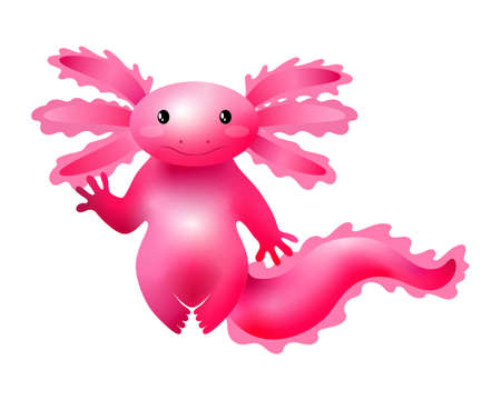 Cute hand drawn cartoon style axolotl. salamander. A floating pink axolotl with an enthusiastic look and a cute smile. Kawaii vector illustration of a fun tiny axolotl.のイラスト素材