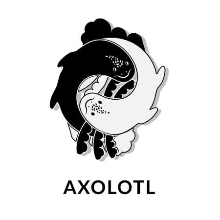 Cute axolotl, Ambystoma mexicanum, vector icon in monochrome. Yin and Yang. White and black axolotl.のイラスト素材