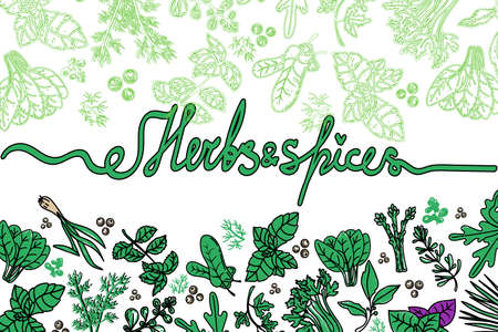 Vector card design with hand drawn spices and herbs. Decorative background with aromatic plants sketch. Vintage kitchen template. Food ingredientsのイラスト素材