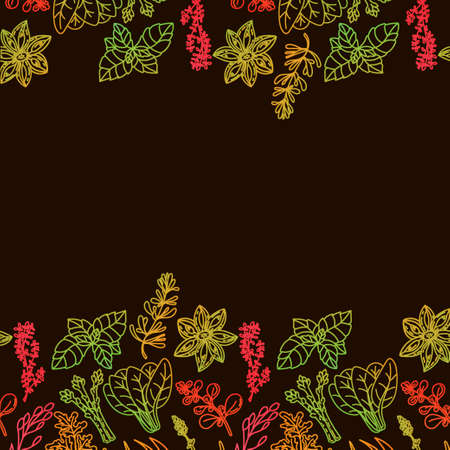 Template border for herbs and spices packaging, drawn element in the style of a doodle. Silhouettes in rainbow colors. Herbs and spices - chili, vanilla, barberry, rosemary, bay leaf, etcのイラスト素材