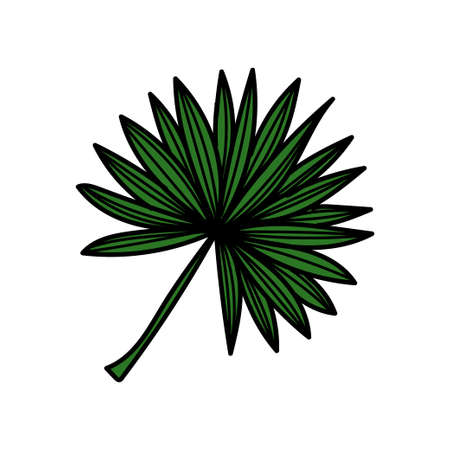 A simple tropical palm leaf icon. Hand-drawn element in a doodle style sketch. Palm. Tropics, summer. isolated vector illustrationのイラスト素材