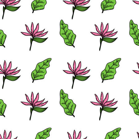 A seamless pattern of a tropical strelitzia flower and leaves. Hand-drawn elements in a doodle style sketch, bright flower and greenery. Tropics. Strelitzia. isolated vector illustrationのイラスト素材