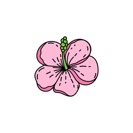 A simple icon of a tropical Hibiscus flower. A hand-drawn sketch of a bright flower in a doodle style. Tropics. pink hibiscus. isolated vector illustrationのイラスト素材