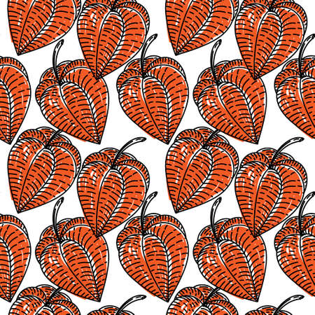 Seamless pattern with dried flowers of physalis, drawn elements of a doodle in sketch style. Physalis. bright orange backgroundのイラスト素材
